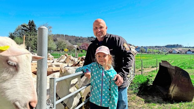 Ein aussergewöhnliches Konzept: Auf dem Betrieb von Peter Blaser werden die Schafe und Ziegen in einem Stall gehalten. Auch Tochter Nora hilft bereits gerne auf dem Betrieb mit. 