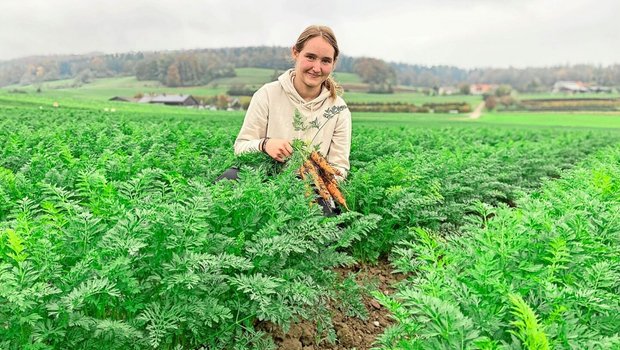 Derzeit geben die Rüebli auf dem Lehrbetrieb von Jasmin Brunner im zürcherischen Sünikon den Takt an. Sie stammt selbst von einem Gemüsebetrieb und ist derzeit im ersten Lehrjahr.  