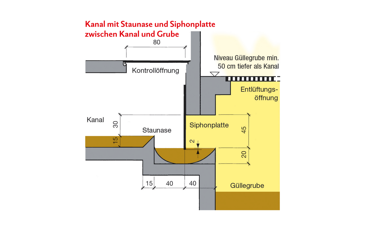 Für Kanäle mit gut fliessbarer Gülle eignet sich eine Stauentmistung. Eine Siphonplatte verhindert, dass Gase aus der Güllegrube in den Stall gelangen.