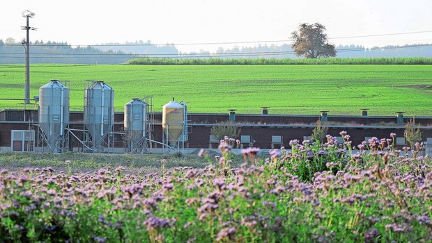 Verschiedene Organisationen sollen künftig Smartfarm nutzen können, jedoch jeweils nur auf gewisse «Silos» – also Daten – zugreifen können.