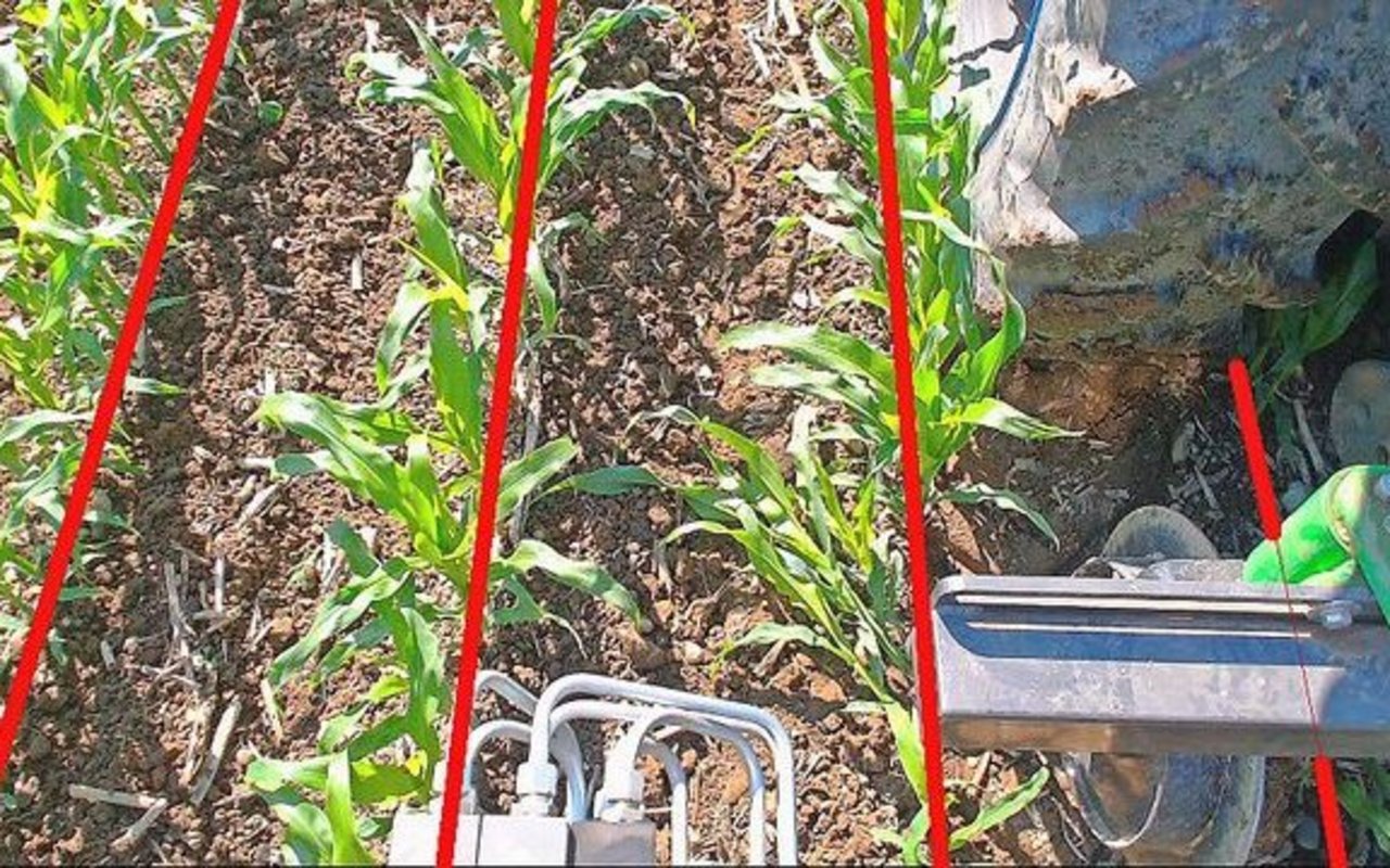 Die Software erkennt die Reihe dort, wo die Pflanze aus dem Boden kommt.