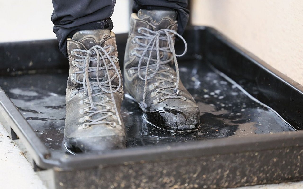 Zwei Schuhe stehen im Becken mit der Desinfektionslösung.