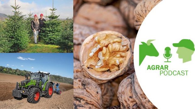 «AgrarPodcast» Episode 3: Intelligente Ohrmarken, Fendt 200 Vario, Mutterkuh Schweiz Die Episode 3 vom «AgrarPodcast» über intelligente Ohrmarken, den Fendt 200 Vario und Mutterkuh Schweiz. (Bild: «die grüne»)