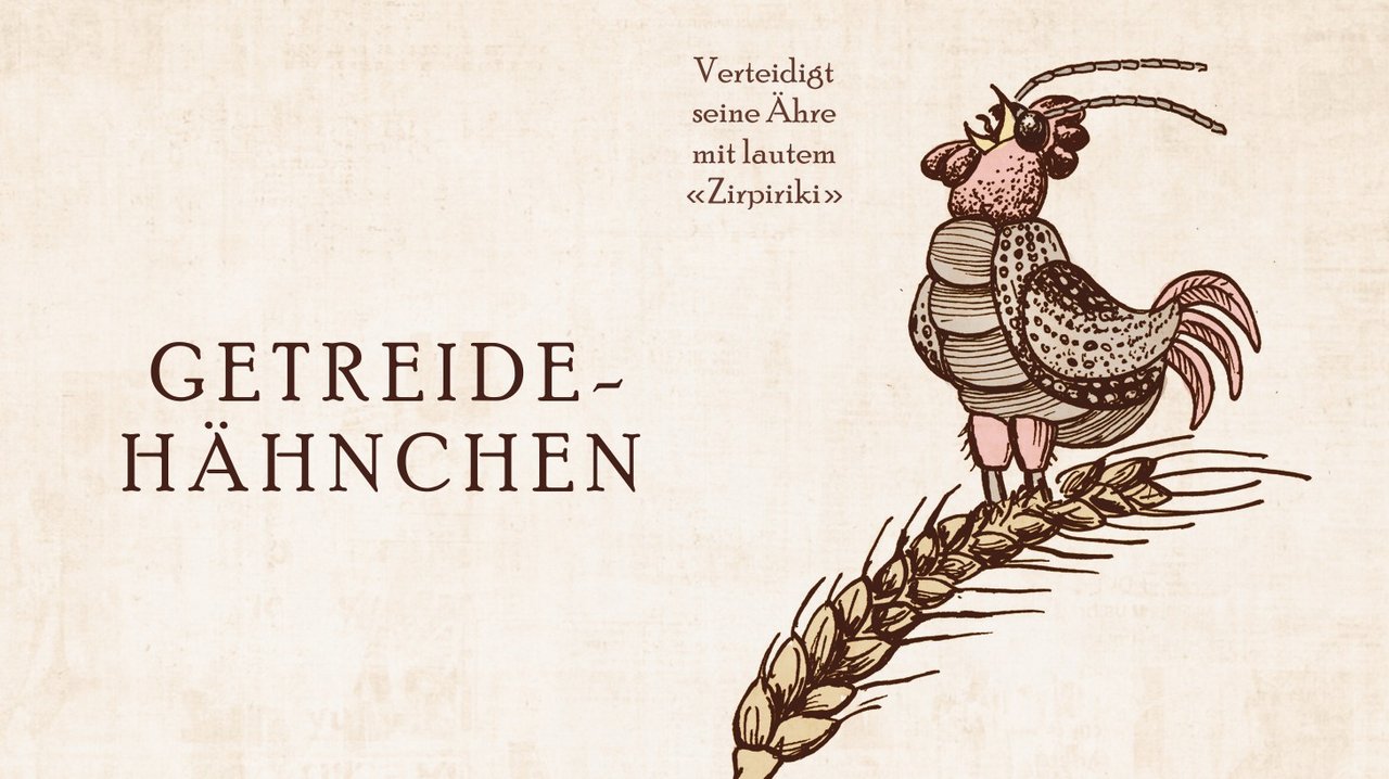 Schädling Nummer 6: Das Getreidehähnchen. Cartoon: Marco Ratschiller/Karma 