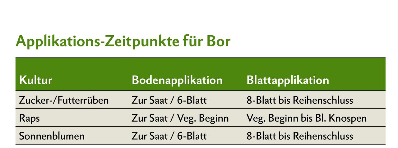 Applikations-Zeitpunkte für Bor bei Zucker-/Futterrüben, Raps und Sonnenblumen.
