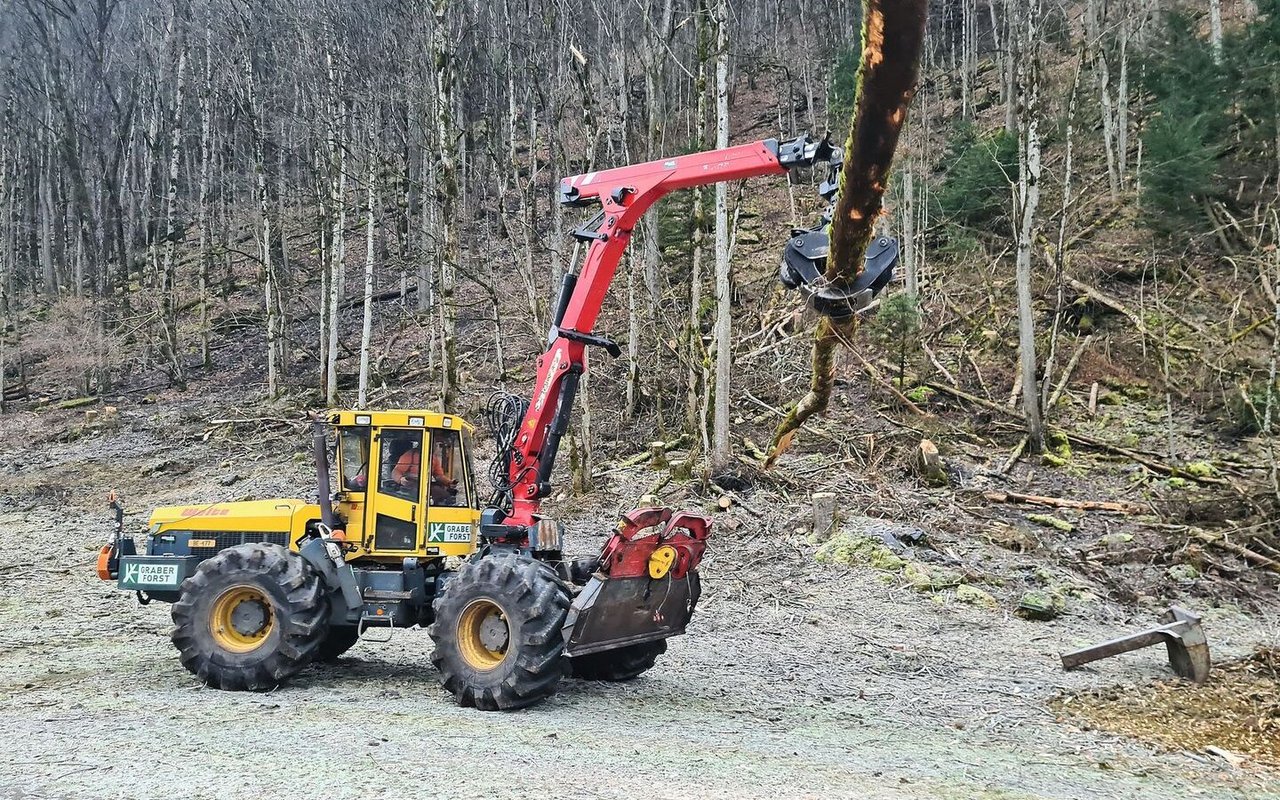 Mit der Greifersäge wird der Stamm am Holzlager abgelängt und sortiert. Der grösste Nutzen liegt im Nutzholz, aber auch beim Brennholz können die Längen optimal gewählt werden.