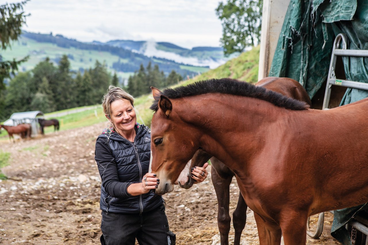 Pferde und Pferdezucht sind eine der Leidenschaften von Anna Neuenschwander. Das grosse Geld mache sie mit ihren Fohlen nicht: «Der Verkauf deckt meine Kosten.» So viel ist ihr die Leidenschaft wert. Bild: Pia Neuenschwander