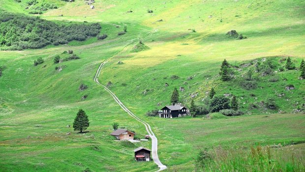 Dank des Gebietsansatzes könnten gewisse Gebäude in der Bergzone zu Wohnraum umgenutzt werden, was zur Diversifizierung der Betriebe beitrüge. Bis dahin wird es aber voraussichtlich noch Jahre dauern.