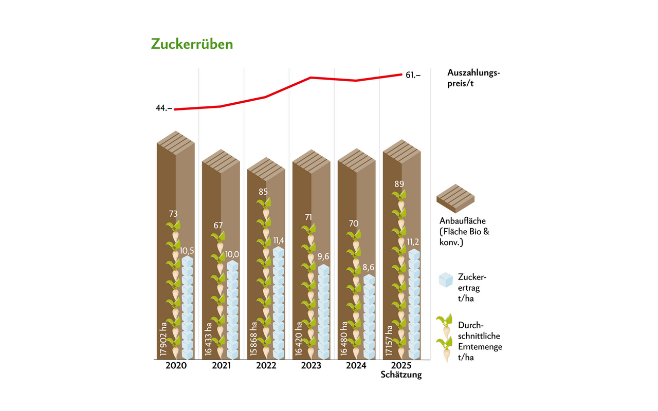 Dank der guten Zuckererträge konnte erstmals seit drei Jahren die Swissness-Quote erreicht werden.