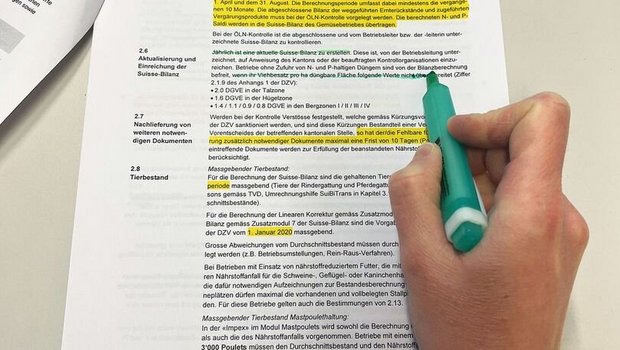 Eine Hand hält einen grünen Leuchtstift und markiert Textpassagen in der Wegleitung zu Suisse Bilanz.