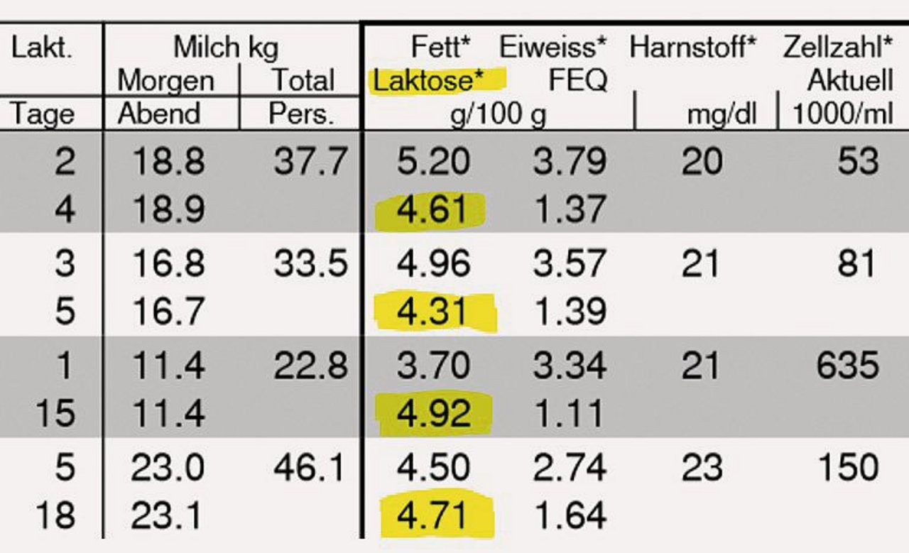 Auf dem Ergebnis der Milchleistungskontrolle ist der Laktosegehalt direkt unterhalb des Fettgehalts zu finden. Bild: Inforama