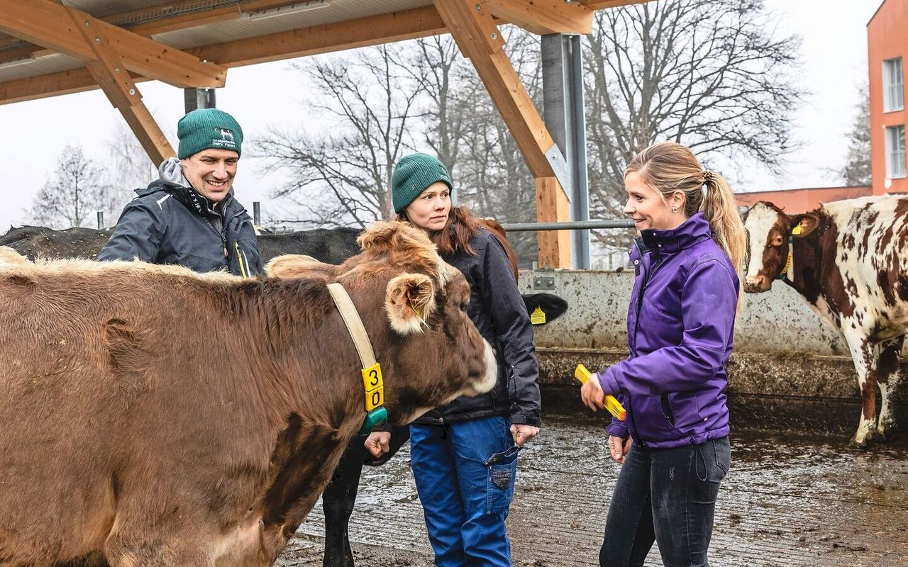 (v. l. n. r.) Martin und Irene Merz im Gespräch mit der Beraterin Martina Schmid.