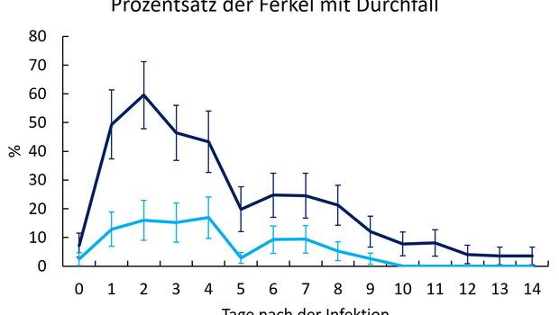 Untere hellblaue Kurve: Der Versuch zeigt signifikant weniger kranke Ferkel bei der Fütterung mit Kastanientanninen. (Bild Agroscope)