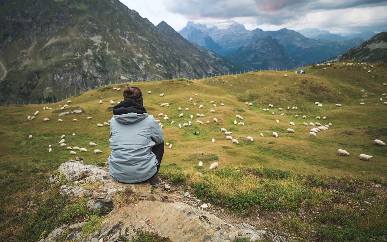 Eine Frau sitzt erhöht auf einem Stein und beobachtet die Schafherde auf der Alpweide unter ihr.