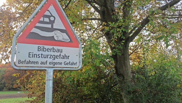 Grabende Biber können Uferwege zum Einsturz bringen. Solche Hinweisschilder warnen Spaziergänger oder Velofahrer, haben aber auch einen haftungstechnischen Hintergrund für die Grundbesitzer.