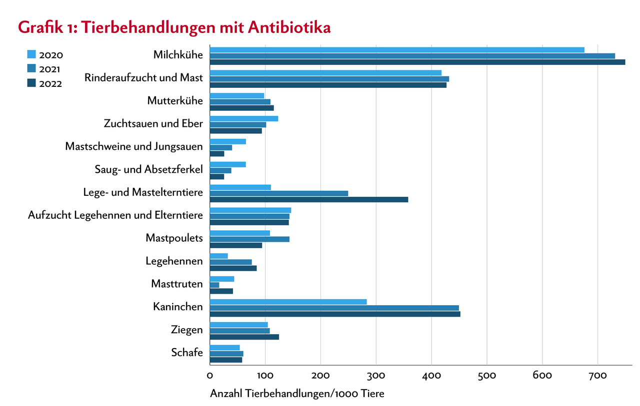 Balkendiagramm zeigt die Anzahl Tierbehandlungen mit Antibiotika relativ zur Populationsgrösse der einzelnen Nutztier-Kategorien.