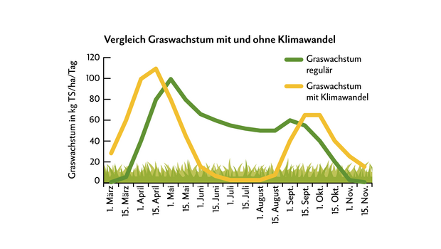 Grün: durchschnittlicher Verlauf des Graswachstums bis zum Jahr 2000. Gelb: bildet das Graswachstum mit klimawandelbedingten Trockenperioden ab.