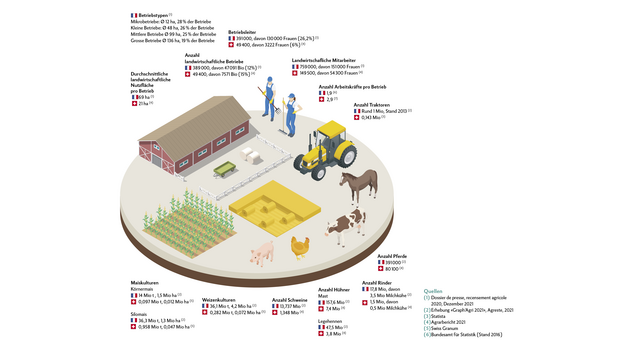 Die Daten der Grafik stammen aus diesen Quellen: Quellen (1) Dossier de presse, recensement agricole 2020, Dezember 2021 (2) Erhebung «Graph’Agri 2021», Agreste, 2021 (3) Statista (4) Agrarbericht 2021 (5) Swiss Granum (6) Bundesamt für Statistik (Stand 2016)