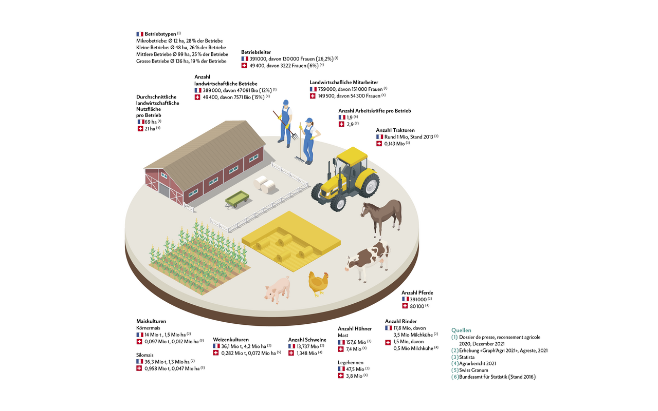 Die Daten der Grafik stammen aus diesen Quellen: Quellen (1) Dossier de presse, recensement agricole 2020, Dezember 2021 (2) Erhebung «Graph’Agri 2021», Agreste, 2021 (3) Statista (4) Agrarbericht 2021 (5) Swiss Granum (6) Bundesamt für Statistik (Stand 2016)