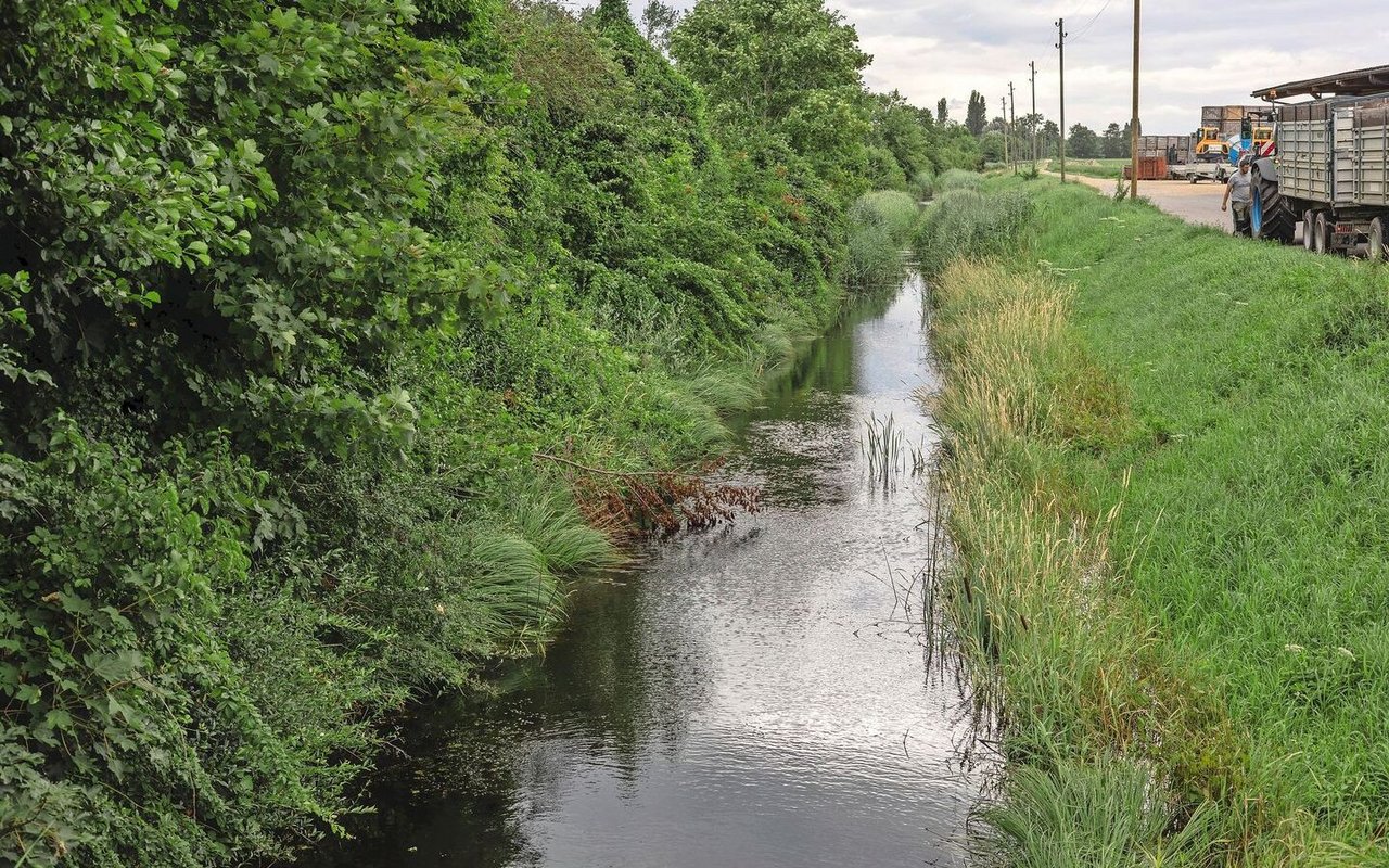In Gals BE setzt Landwirt Matthias Schwab auf passive Bewässerung. Dazu gehören Entwässerungskanäle, deren Pegel tiefer ist als der des Zulaufs.