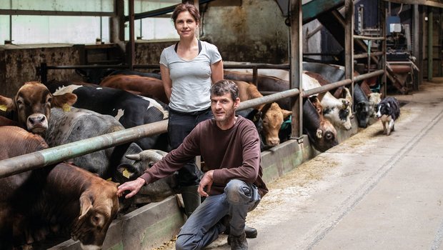 Peter und Luzia Keusch mästen auf ihrem Betrieb in Boswil AG 200 Muni. Bereits Keuschs Vater begann mit dieser Art der Fütterung. (Bilder Pia Neuenschwander)