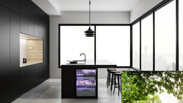 3000 Franken für ein Mini-Gewächshaus Was wie eine Minibar mit Beleuchtung aussieht, ist ein 3000 Franken teures Mini-Gewächshaus. Darin wachsen Microgreens, Schnittsalat oder Kräuter. Eine App informiert über den idealen Erntezeitpunkt der Gewächse. Bild: Agrilution