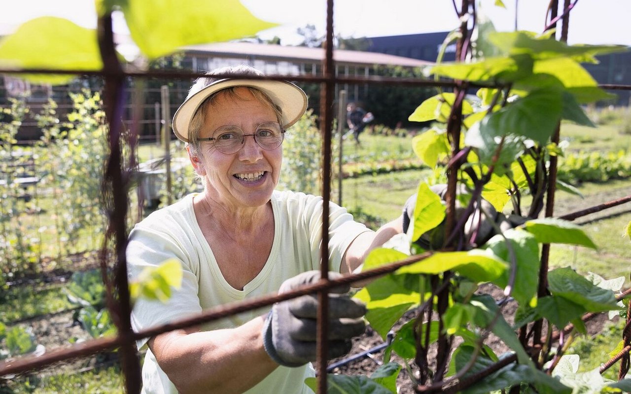 Im Garten ist die ehemalige Agrarjournalistin Eveline Dudda in ihrem Element.Der Nutzgarten ist ihr Kind,das prächtig gedeiht.
