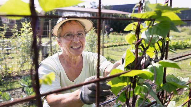 Im Garten ist die ehemalige Agrarjournalistin Eveline Dudda in ihrem Element.Der Nutzgarten ist ihr Kind,das prächtig gedeiht.