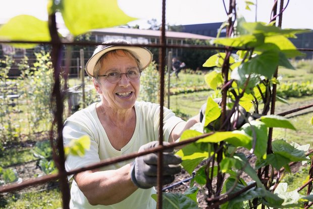 Im Garten ist die eh Im Garten ist die ehemalige Agrarjournalistin Eveline Dudda in ihrem Element.Der Nutzgarten ist ihr Kind,das prächtig gedeiht.