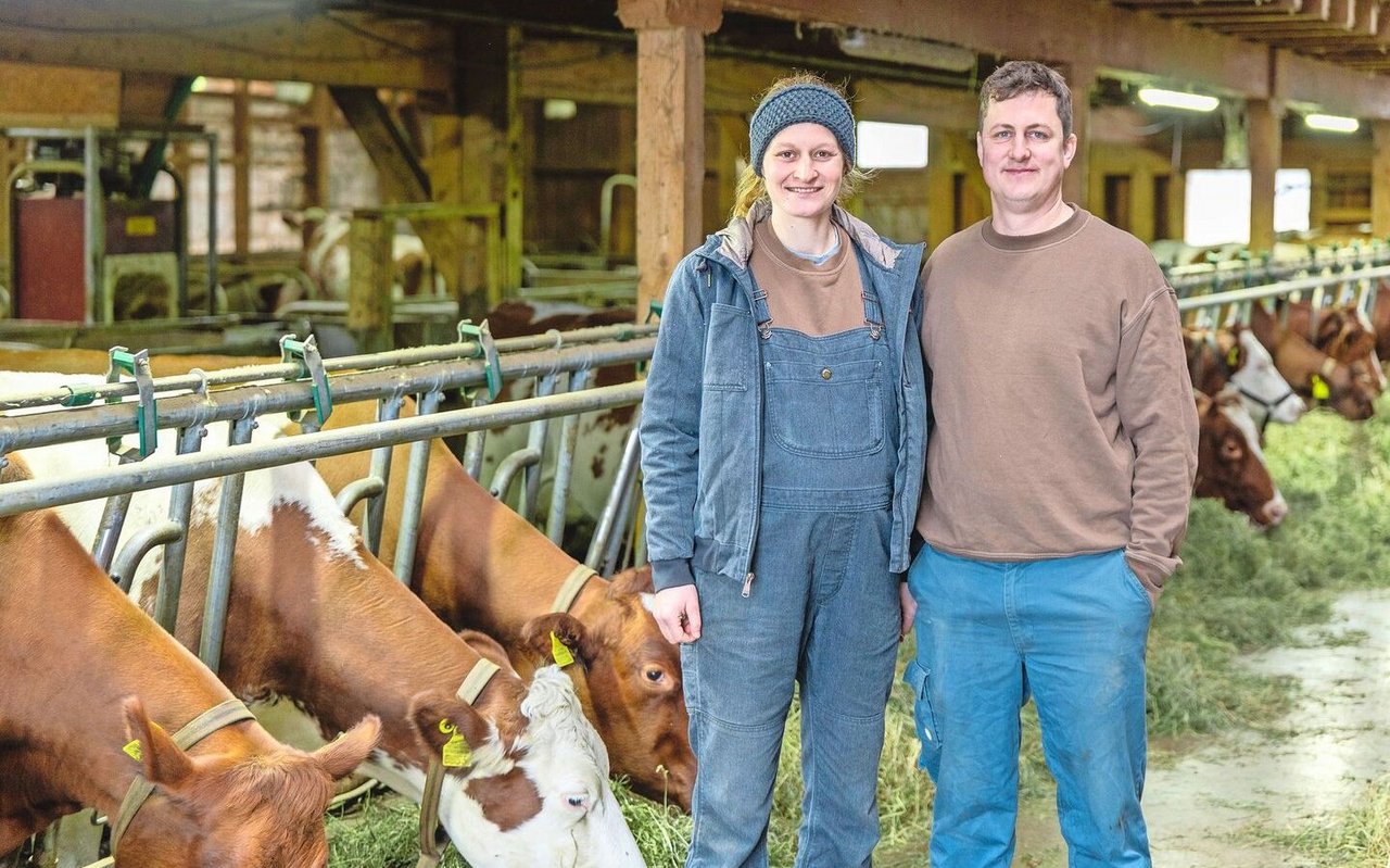 Lucrezia und Jürg Meier haben 2022 mit der ammengebundenen Kälberaufzucht angefangen. 