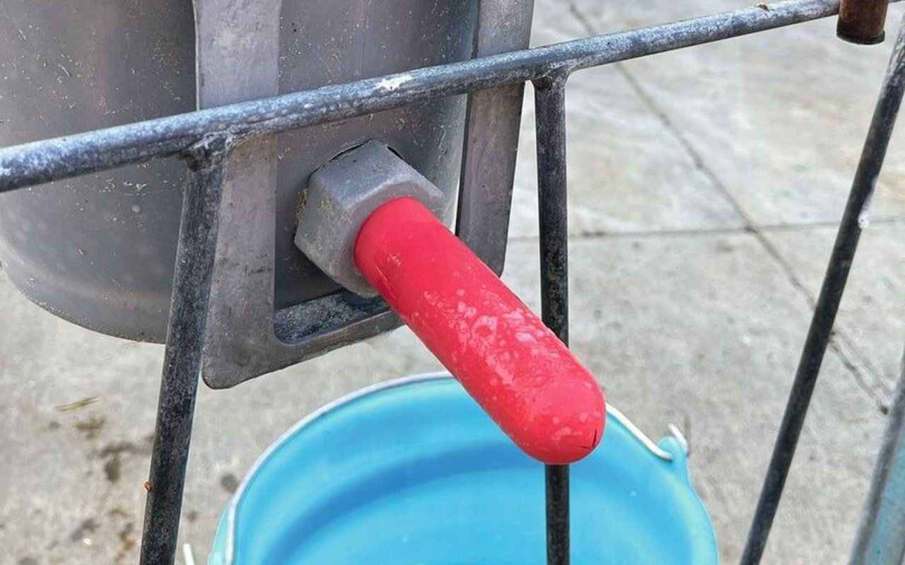 Detailaufnahme eines roten Saugnuggis, der an einem Milcheimer befestigt ist.