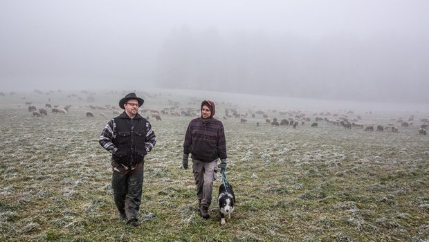 Wanderschäfer-Neuling Adrian Müller (l) und Hirte Rolf Thalmann (r) wandern heuer mit der grossen Wanderherde durch das Luzerner Mittelland. Bild: Pia Neuenschwander