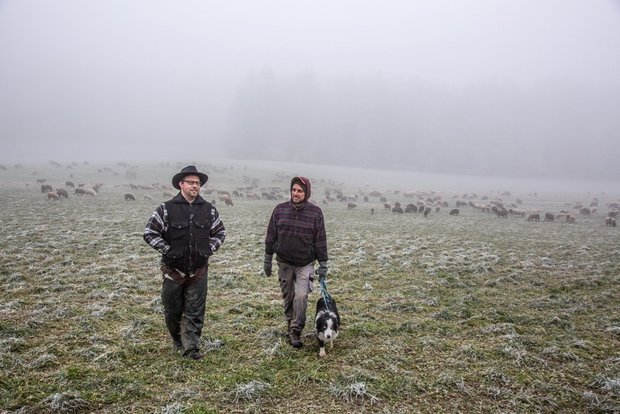 Wanderschäfer-Neuling Adrian Müller (l) und Hirte Rolf Thalmann (r) wandern heuer mit der grossen Wanderherde durch das Luzerner Mittelland. Bild: Pia Neuenschwander