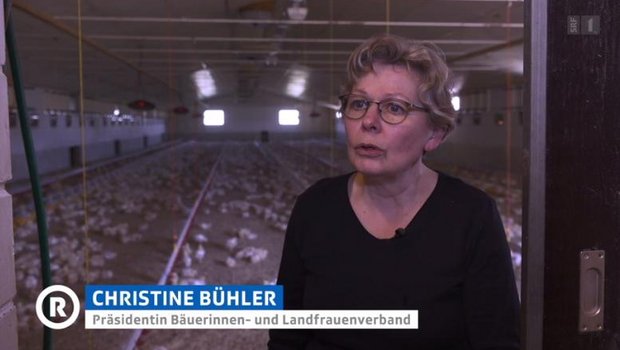 Präsidentin des Schweizerischen Bäuerinnen- und Landfrauenverbands (SBLV) Christine Bühler fordert eine bessere soziale Absicherung der Bäuerinne. (Bild Screenshot SRF)
