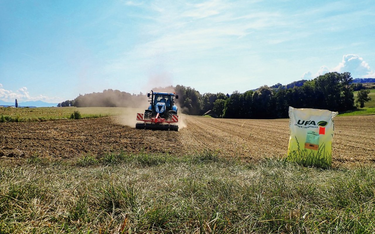 Die Saat-Bedingungen sind entscheidend für den Erfolg einer Wiese.Ein früher Saat-Beginn im Juli ist für die junge Saat ein Risiko.