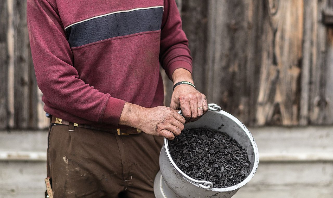 Wird Pflanzenkohle bei der Fütterung eingesetzt, profitieren die Tiere in ihrem Verdauungstrakt davon. Bild: Mattias Nutt/ «die grüne»