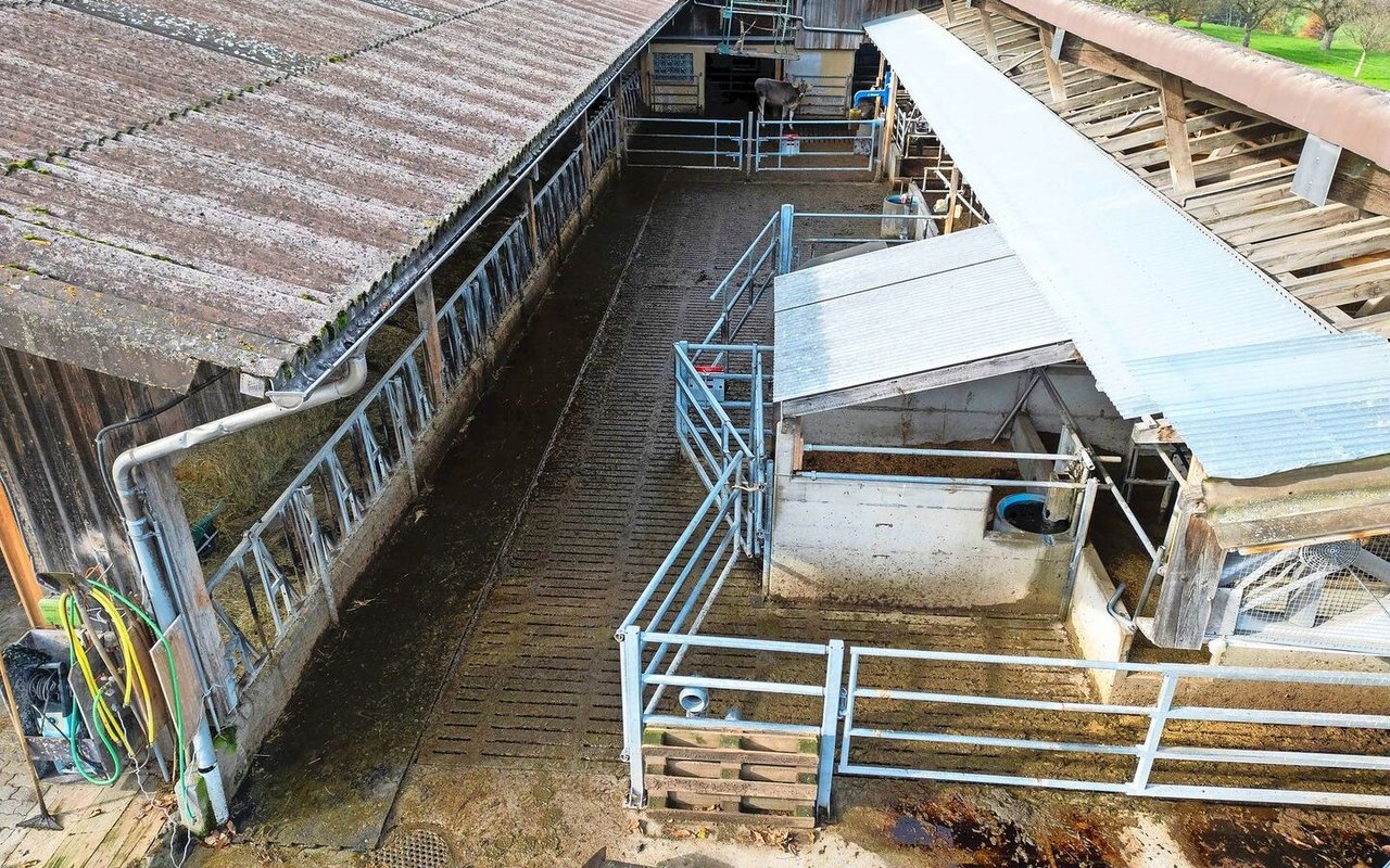 Der Laufhof wurde bereits beim Bau des Milchviehstalls integriert und ist bis heute konform.
