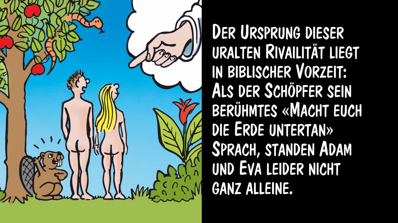Der Ursprung für das Biber-Verhalten liegt in der Schöpfungsgeschichte. Cartoon: Marco Ratschiller/Karma