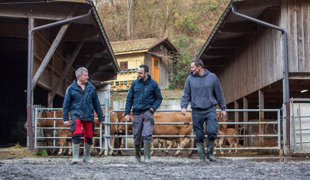 Flexibler zu dritt: Peter Hurni, Thomas Augstburger und David Ramseier von der Betriebsgemeinschaft Aare-Bio. Bild: Pia Neuenschwander