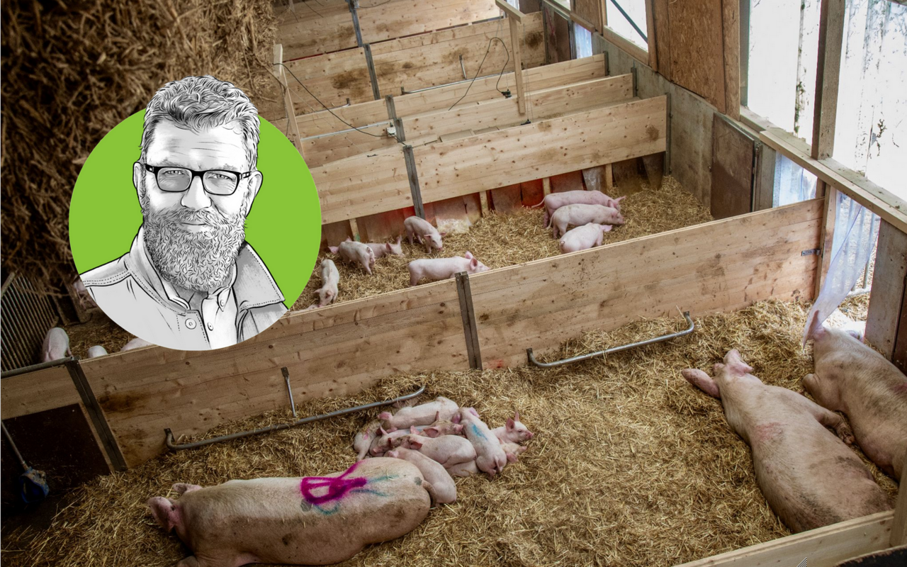 Porträtzeichnung von «die grüne»-Chefredaktor Jürg Vollmer mit einem vorbildlchen Schweizer Schweinestall im Hintergrund.