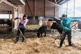 Das Schwestern-Duo Nina (links) und Lena Hitz gehören neu zum Team. «Viele Schultern tragen die Verantwortung», sagt Landwirtin Nina Hitz. Bild: Matthias Nutt 