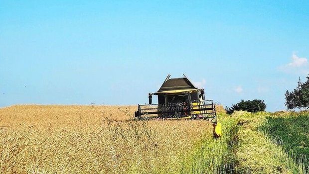 Die Zielmenge für die Ernte 2026 ist sowohl bei Raps als auch bei  Sonnenblumen und Futtersoja noch nicht erreicht.  