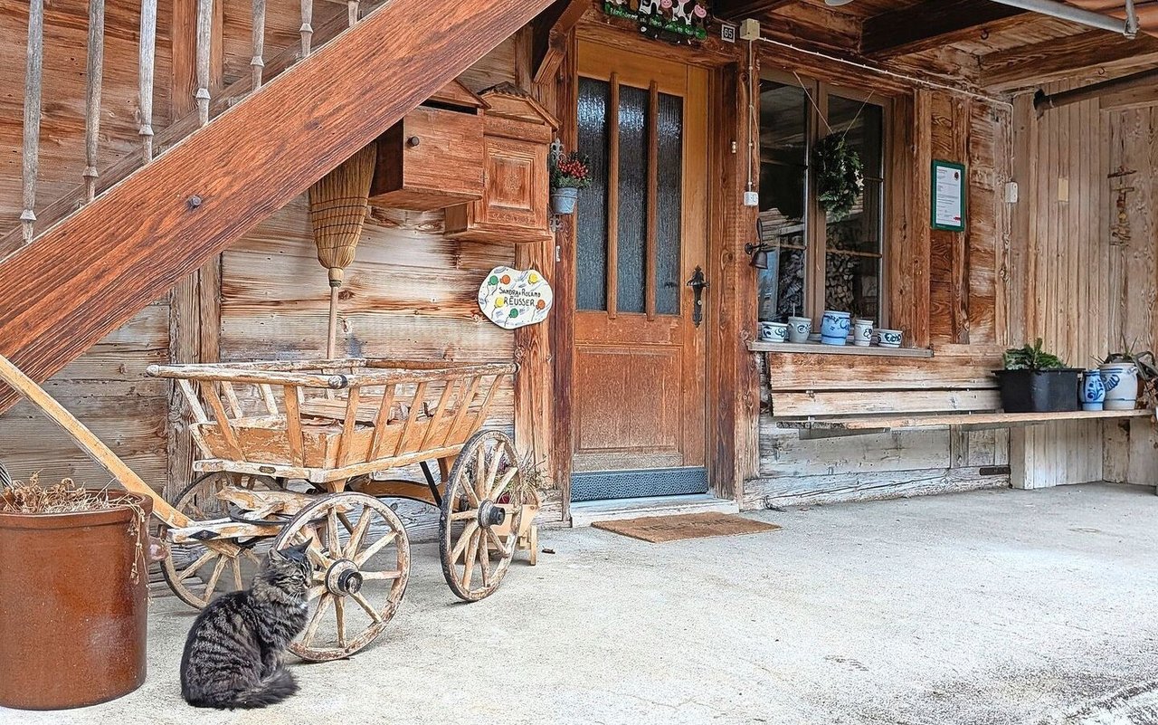 Die Rolle von Kater Fridu auf dem Hof Hubel ist nicht zu unterschätzen. Ihn zu streicheln, ist für manche Menschen ein erster Schritt zurück ins Gleichgewicht.