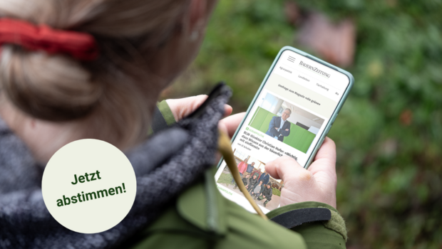 Frau fotografiert von hinten schaut auf ihr Mobiltelefon, Bildschirm voll ersichtlich