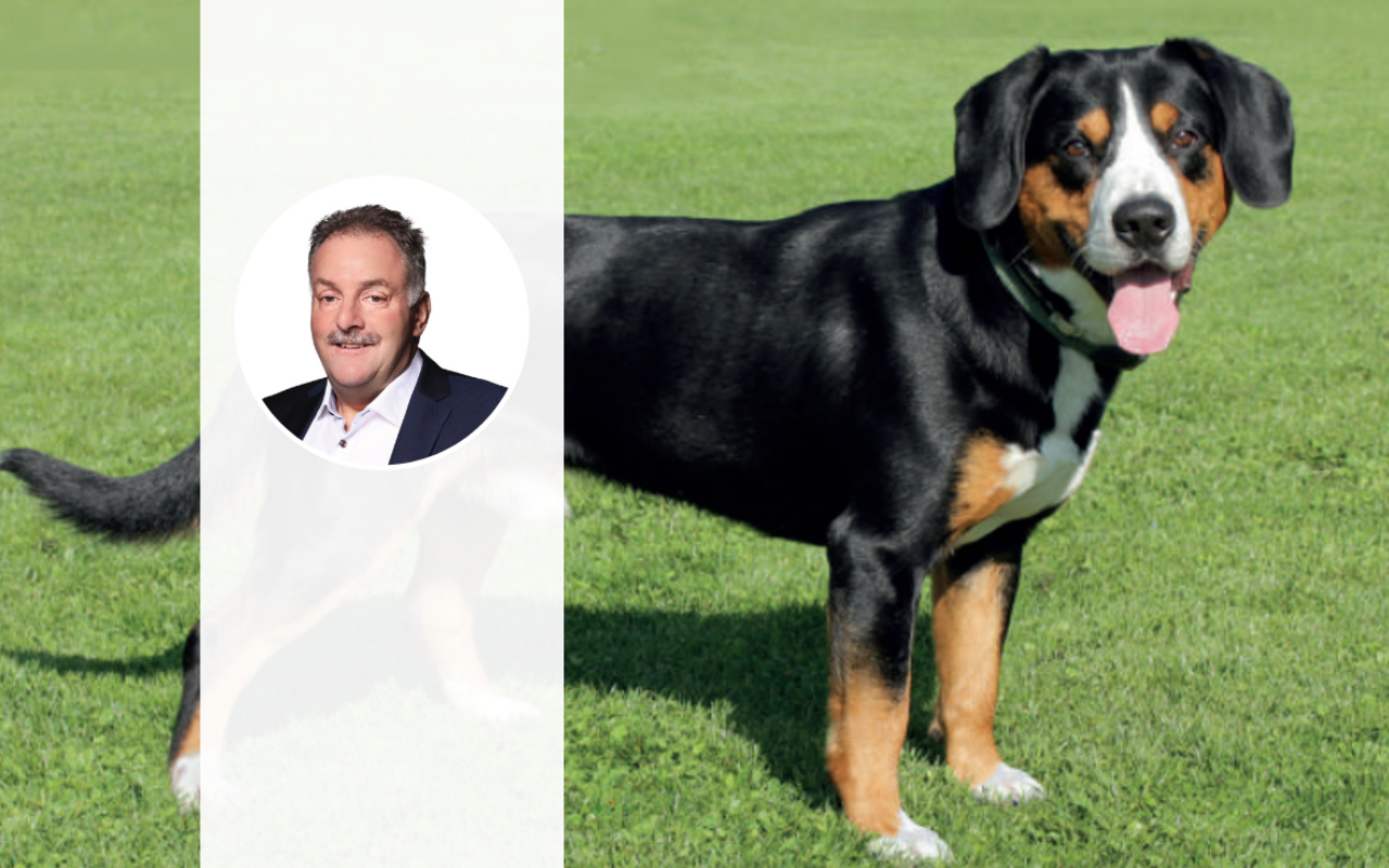 Das Porträt von Alfred Bärtschi steht im Vordergrund. Dahinter ist ein Entlebucher Sennenhund von der Seite zu sehen.