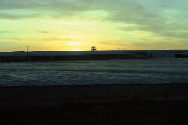 Eine Leserreise nach Almería bringt einen anderen Blick auf das Plastikmeer Plastik, so weit das Auge reicht: Insgesamt beanspruchen die Treibhäuser in Almería 36'000 Hektaren Fläche. Bild: Sebastian Hagenbuch