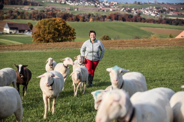 Landwirtin Nathalie Genoud setzt auf Milchschafe Landwirtin Nathalie Genoud bei den Jungschafen. Sie ist voll und ganz zufrieden mit ihrem neuen Betriebszweig. Bild: Pia Neuenschwander