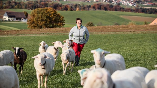 Landwirtin Nathalie Genoud bei den Jungschafen. Sie ist voll und ganz zufrieden mit ihrem neuen Betriebszweig. Bild: Pia Neuenschwander