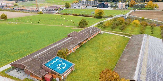 Projekt Aquaforum – Neues Kompetenzzentrum für Aquakultur im Aufbau Neben dem Schweinestall des Inforama Rütti entsteht eine Kreislaufforschungsanlage. (Bild HAFL)