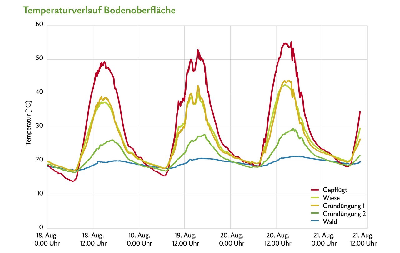 Mittels Bodensonde wurde die Bodentemperatur in 1 cm Tiefe von verschieden genutzten Parzellen gemessen. Der Wald wies dank stetiger Begrünung insgesamt die tiefste Bodentemperatur auf im Vergleich zum gepflügten Boden. 